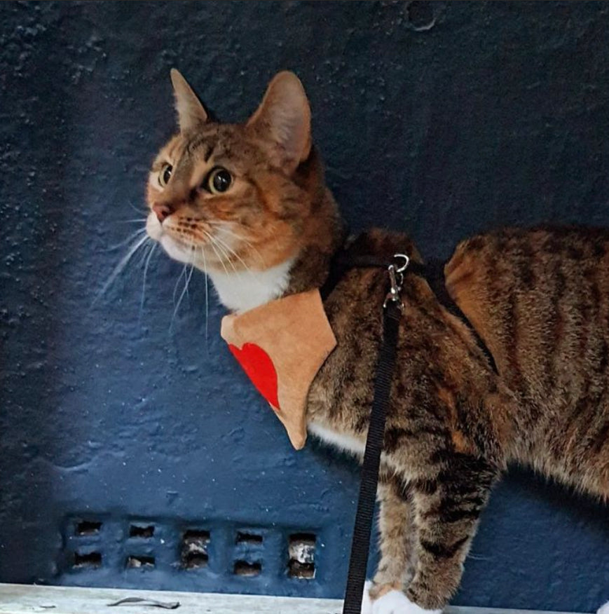 Slip on Dog & Cat Bandana - Red Heart on Tan Design