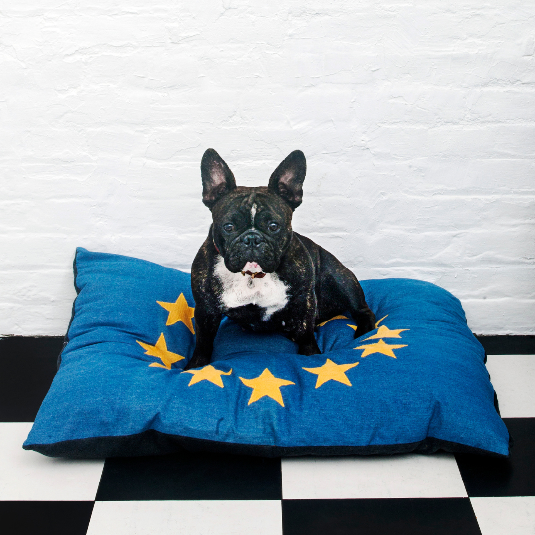 Dog bed in EU flag design - Main Image