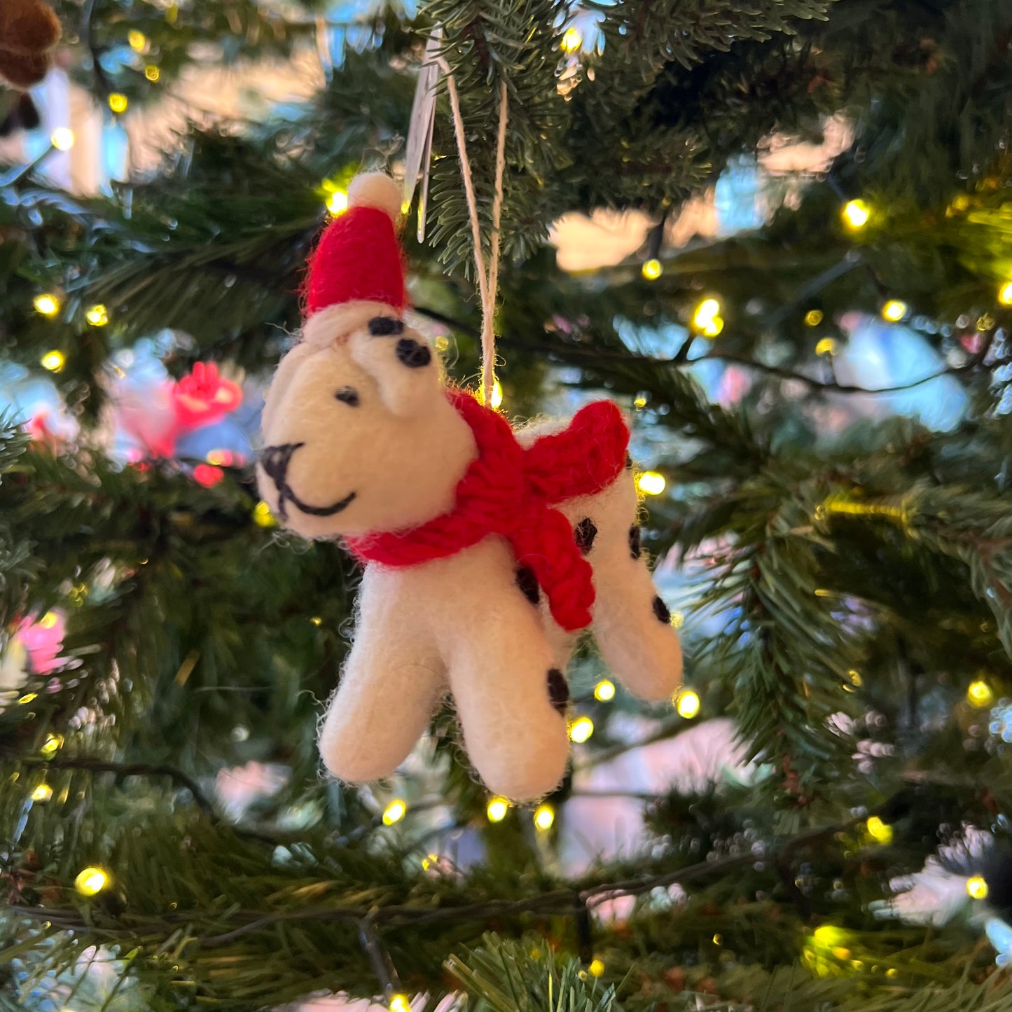 Dalmatian with Hat & Scarf Christmas Decoration by Amica