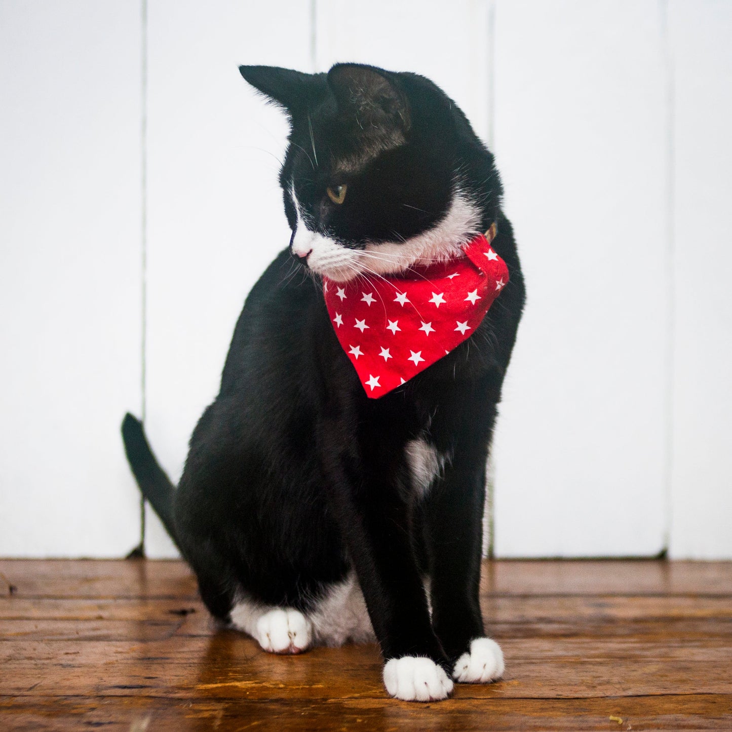 Slip on Dog & Cat Bandana in Red Star Print Design