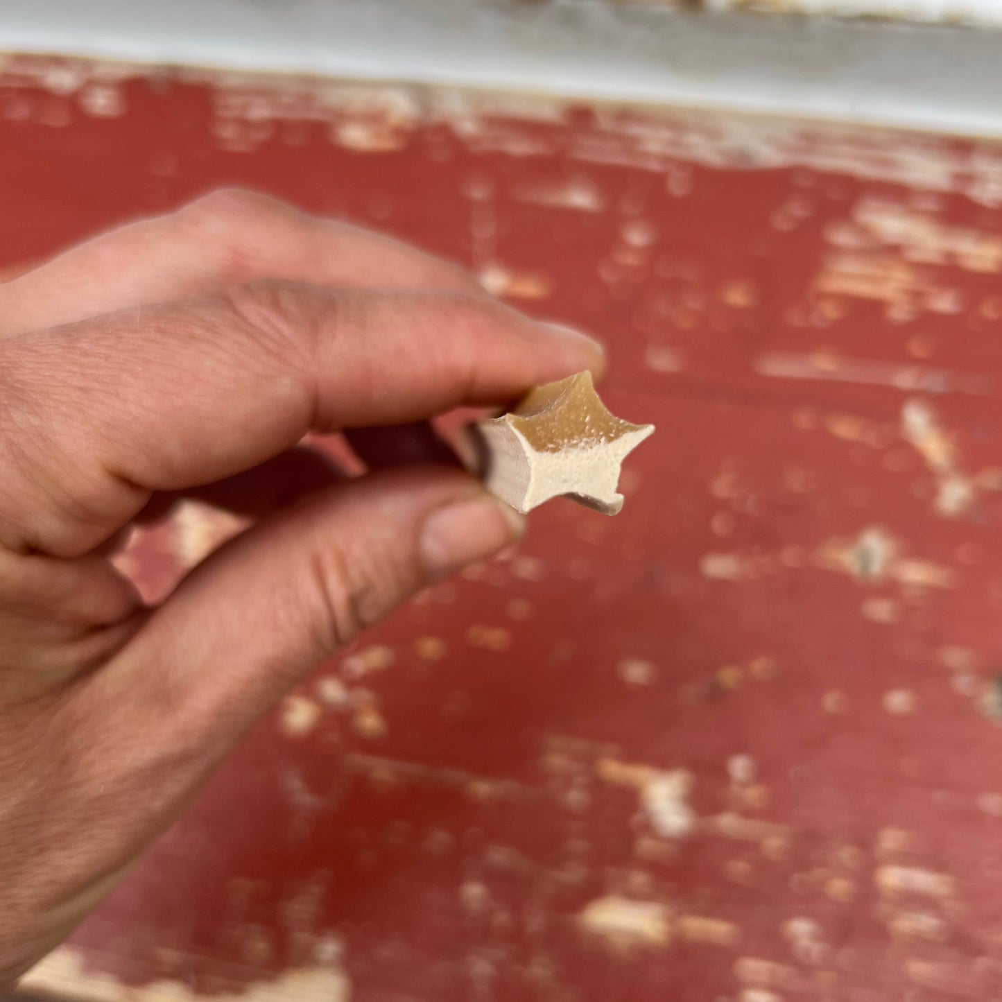 Star Stick Chew