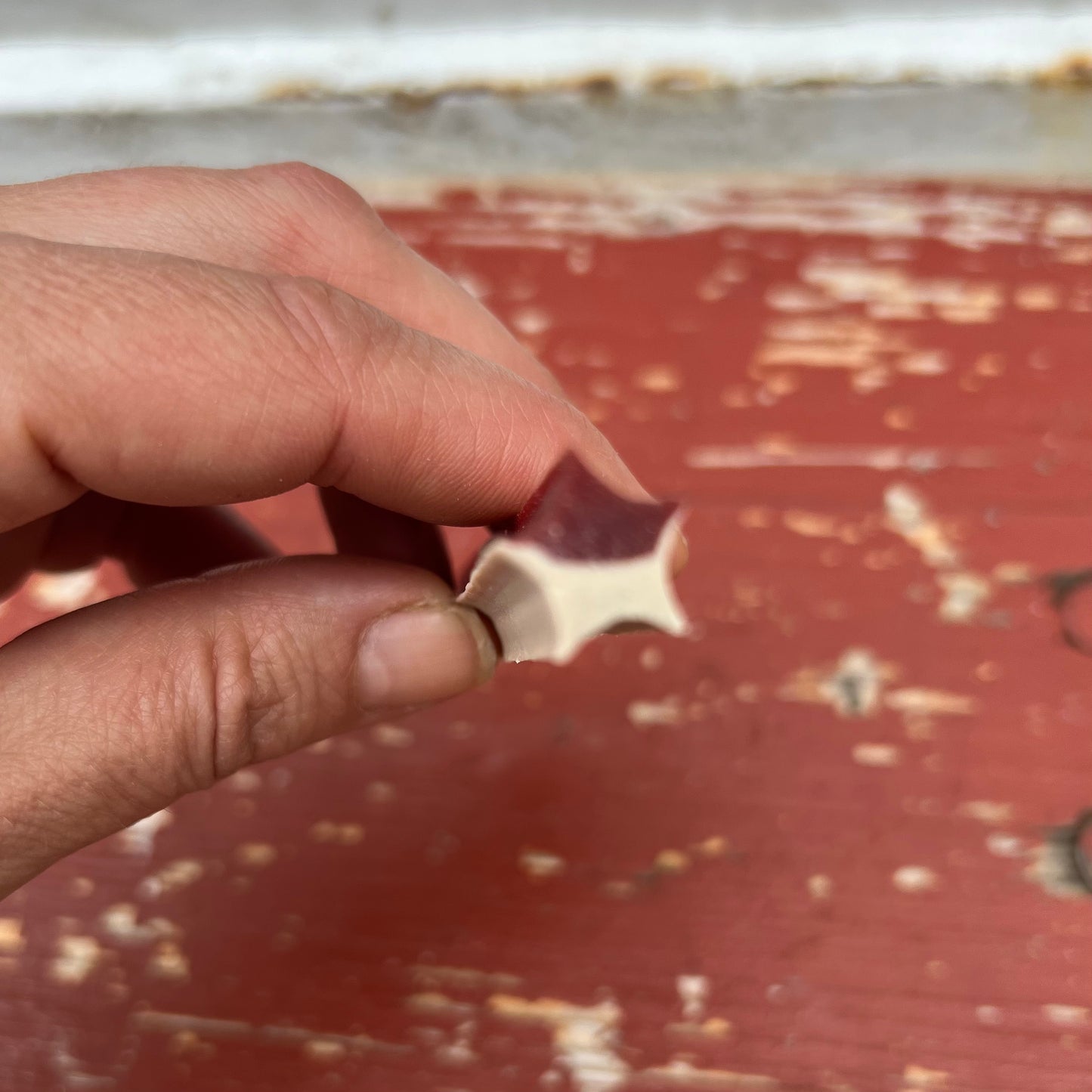 Star Stick Chew