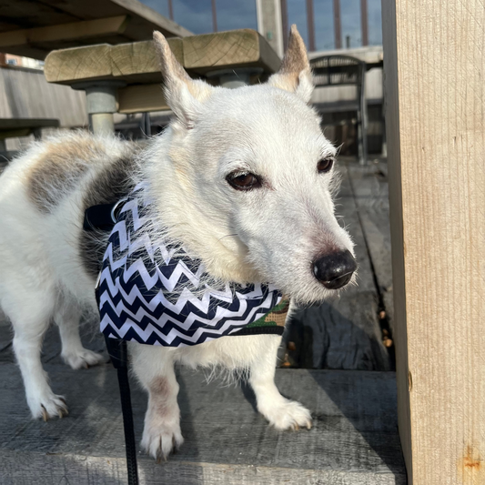 SALE - Slip on Dog Bandana in Zig Zag Chevrons