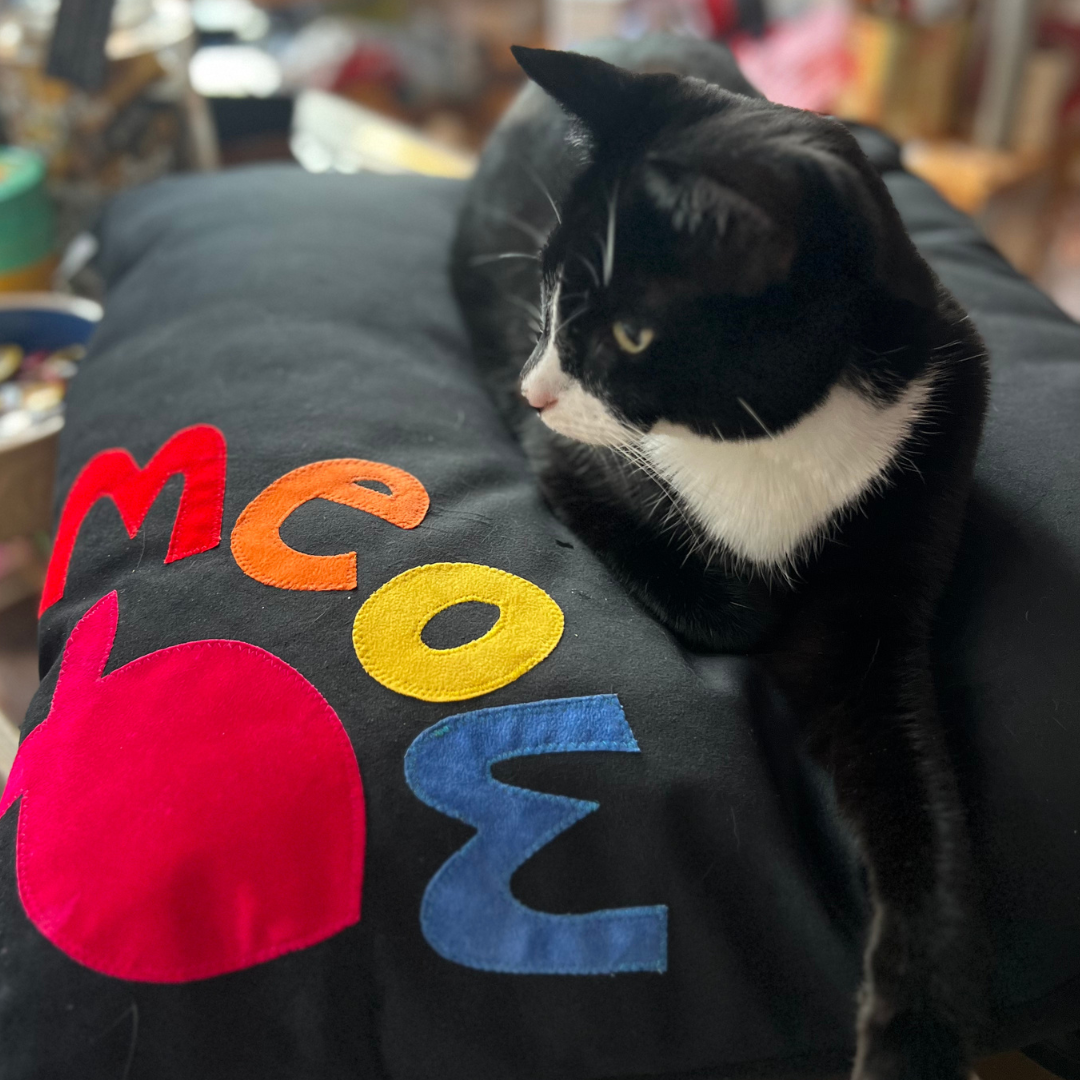Cat Bed with Rainbow Meow Design, Creature Clothes
