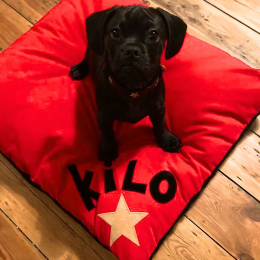Personalised Dog Bed SPARE COVER ONLY