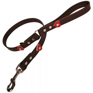 Archive Dog Leads