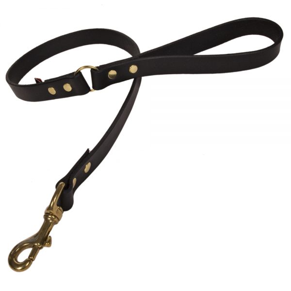 Plain Leather Dog Lead - Black with Brass