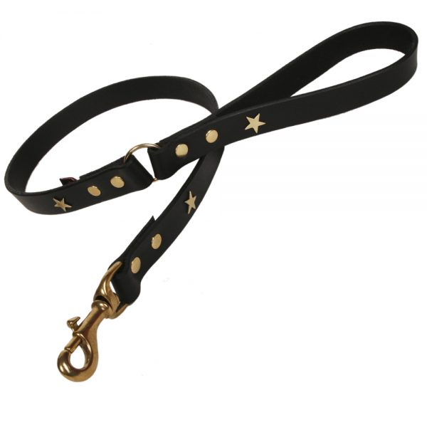 Classic Leather Dog Lead - Black with Brass Stars
