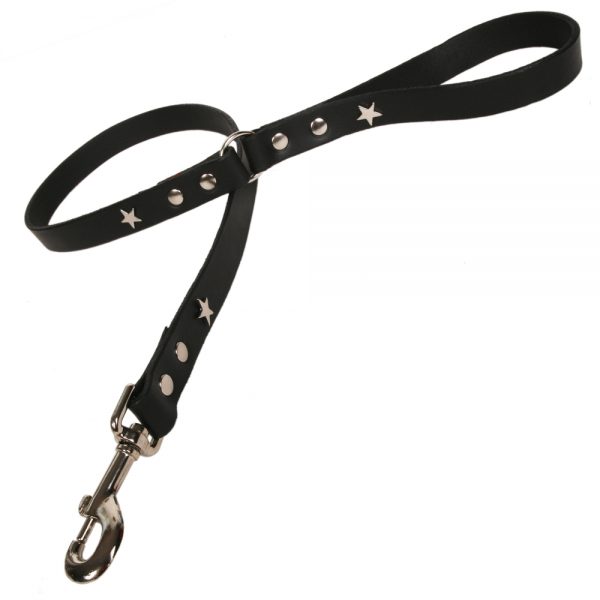 Classic Leather Dog Lead - Black with Silver Stars