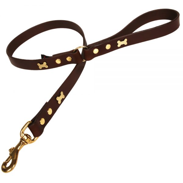 Classic Leather Dog Lead - Chocolate with Brass Bones