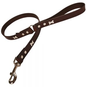 Classic Leather Dog Lead - Chocolate with Silver Bones