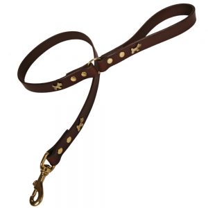 Classic Leather Dog Lead - Chocolate with Brass Dogs