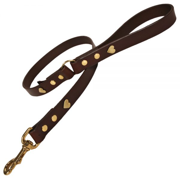 Classic Leather Dog Lead - Chocolate with Brass Hearts