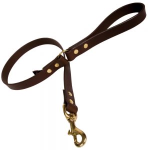 Plain Leather Dog Lead - Chocolate with Brass