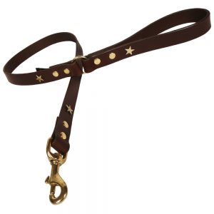Classic Leather Dog Lead - Chocolate with Brass Stars