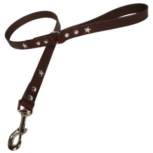 Classic Leather Dog Lead - Chocolate with Silver Stars