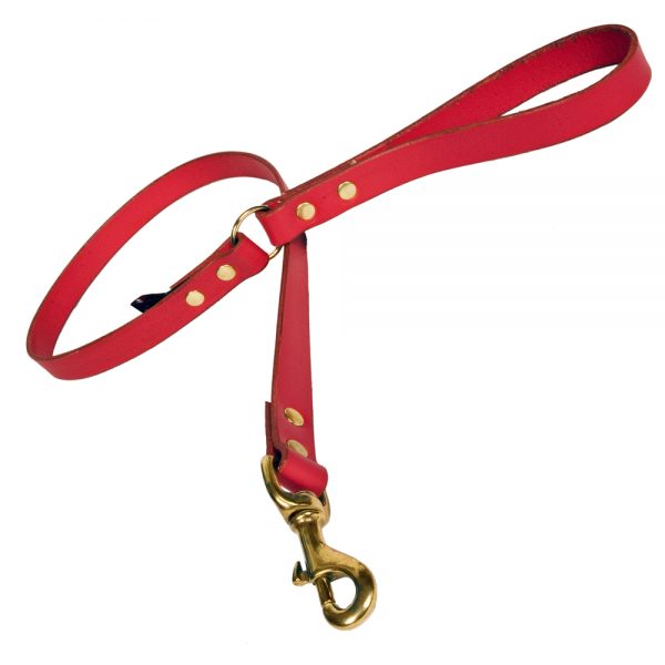 Plain Leather Dog Lead - Red with Brass