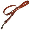 Classic Leather Dog Lead - Tan with Silver Bones