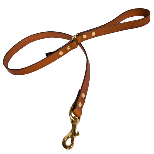 Plain Leather Dog Lead - Tan with Brass