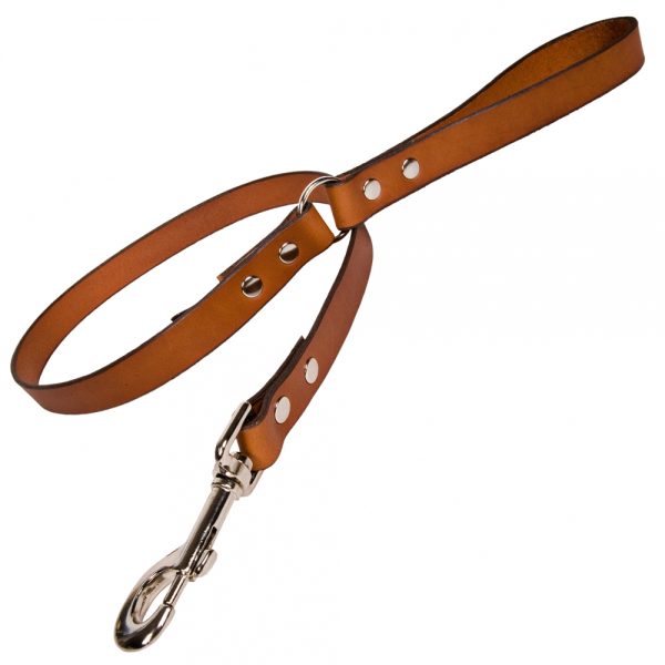 Plain Leather Dog Lead - Tan with Nickle
