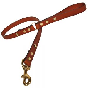 Classic Leather Dog Lead - Tan with Brass Stars