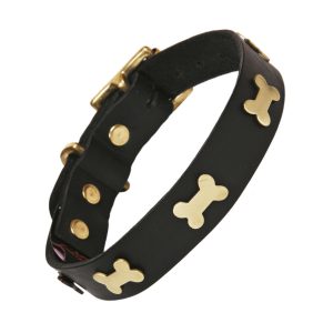 Black leather dog collar with brass bones