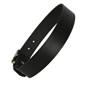 Black leather dog collar plain
