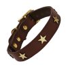 Classic Studded Dog Collar - Brass Stars on Chocolate Leather