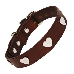 Chocolate Dog collar with Silver Hearts