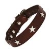 Chocolate collar silver star leather