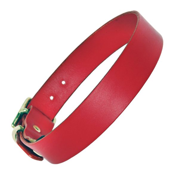 Red leather Dog Collar plain