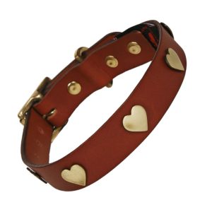 Tan leather dog collar with brass hearts