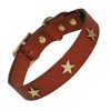 Tan Leather dog collar with brass stars
