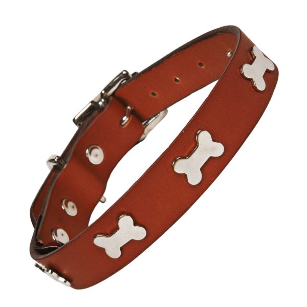 Tan leather dog collar with silver bones