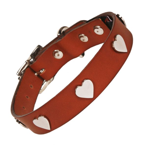 Tan Leather silver heart Dog collar