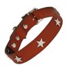 Tan leather dog collar silver stars