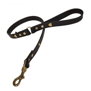 Black leather dog collar with brass hearts