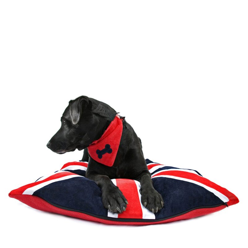Union Jack Dog Bed