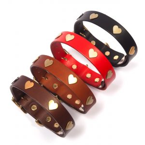 Leather Dog Collars & Leads with Brass Hearts