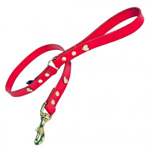 Red leather dog collar with brass hearts