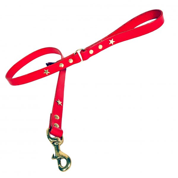 Red dog lead with brass stars