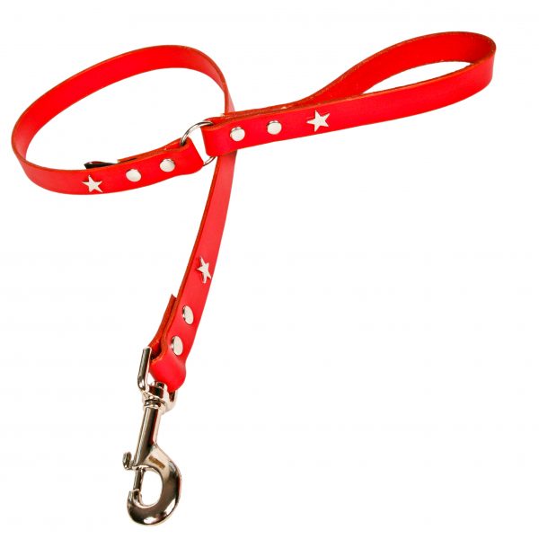 Red leather dog lead with silvers stars