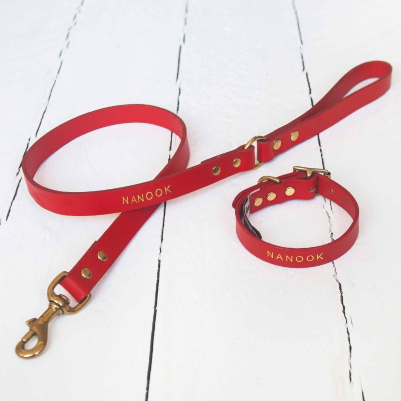Personalised red leather dog lead embossed with dog's name