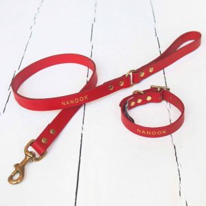 Personalised red leather dog lead embossed with your dog's name