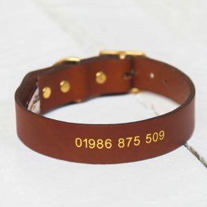Personalised tan leather dog collar embossed with telephone number