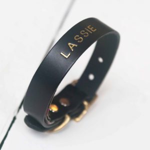 Personalised black leather dog collar embossed dog's name gold