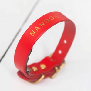 Personalised red leather dog collar embossed dog's name gold