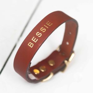 Personalised tan leather dog collar dog's name embossed gold