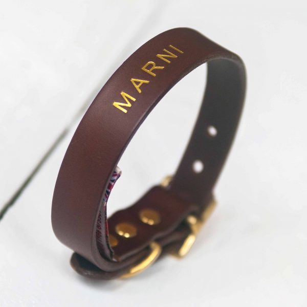 Personalised choc leather dog collar embossed dog's name gold