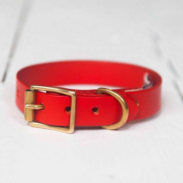 Personalised red leather dog collar embossed brass